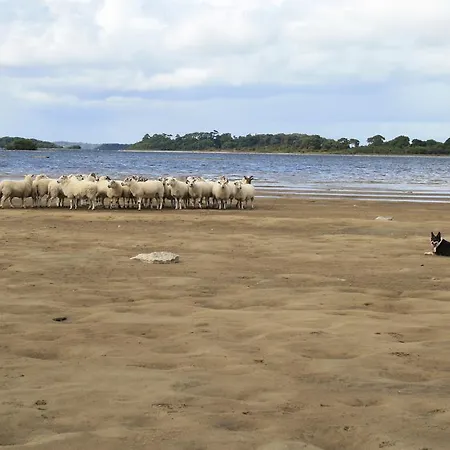 Corrib Wave 3* Oughterard