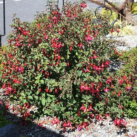 Corrib Wave 3* Oughterard