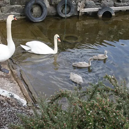 招待所 科里布波浪酒店 3*