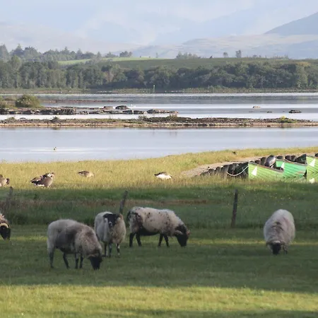 Corrib Wave
