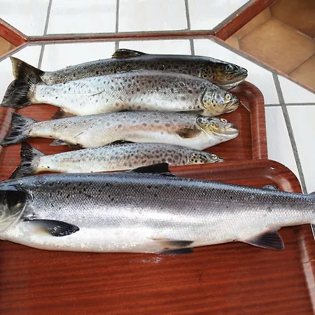 Corrib Wave Konukevi Oughterard