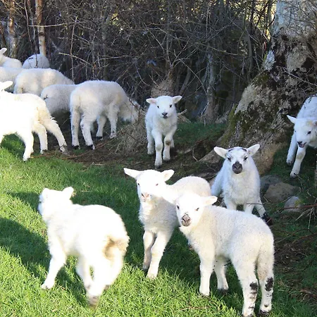 Konukevi Corrib Wave 3*