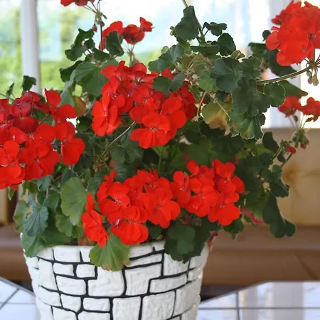 Corrib Wave Oughterard