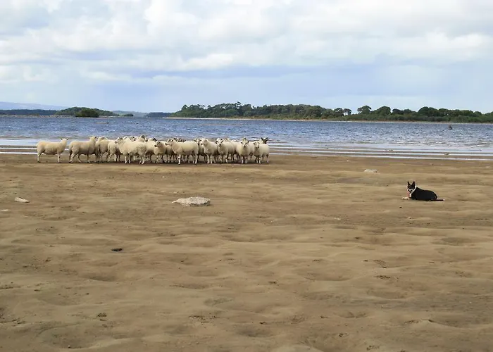 Corrib Wave 3* Oughterard