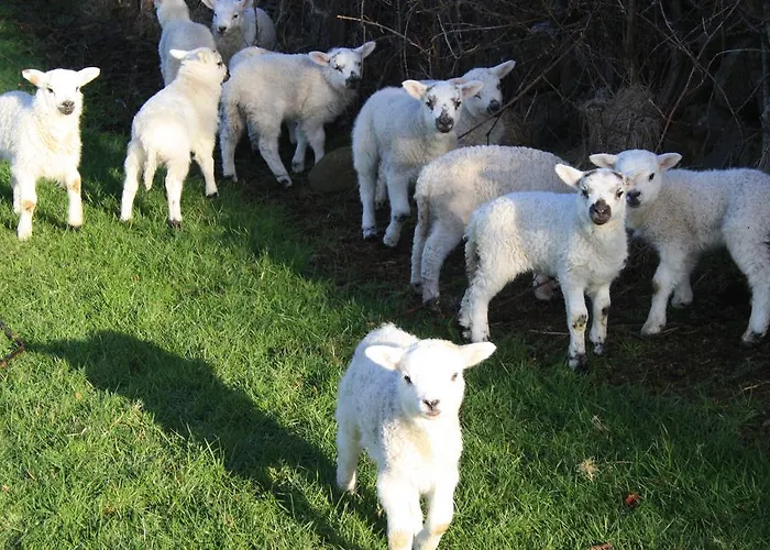 Corrib Wave Pensionat Oughterard