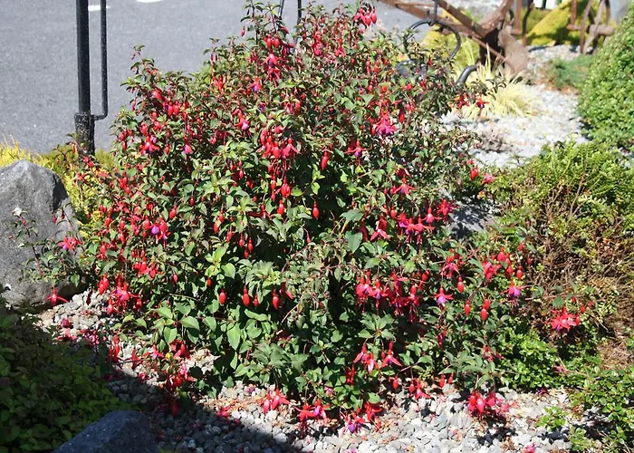 Corrib Wave 3* Oughterard