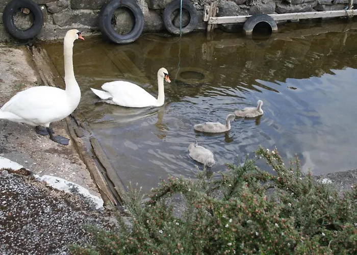 Gasthof Corrib Wave 3*