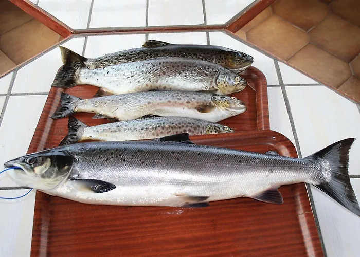 Corrib Wave Gasthof Oughterard