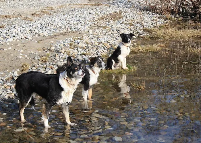 Corrib Wave 3* Oughterard